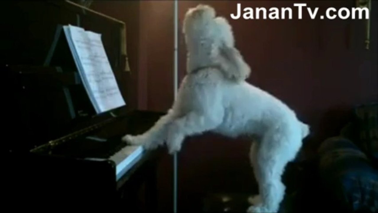 Funniest Video Clip Ever For More JananTv.com