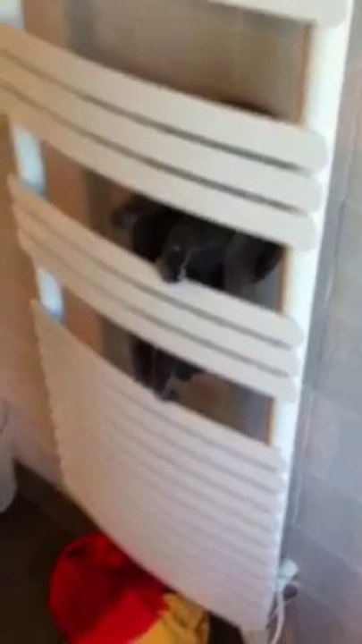 Guest des Rives d'estaing