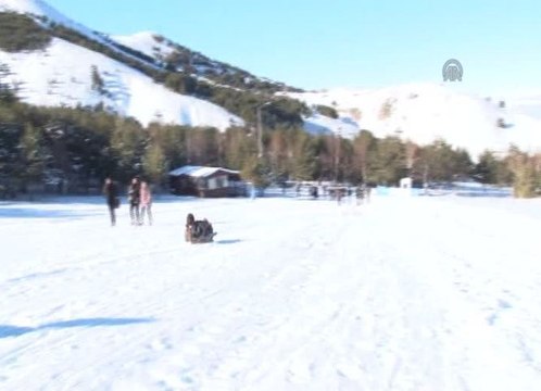 Geleneksel Kızak ve Atlı Kızak Türkiye Şampiyonası