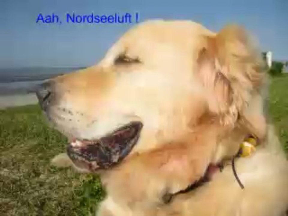 Carolinensiel Strand und Meer