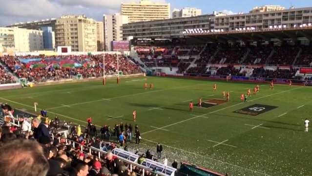 Pilou Pilou - RCT Toulon