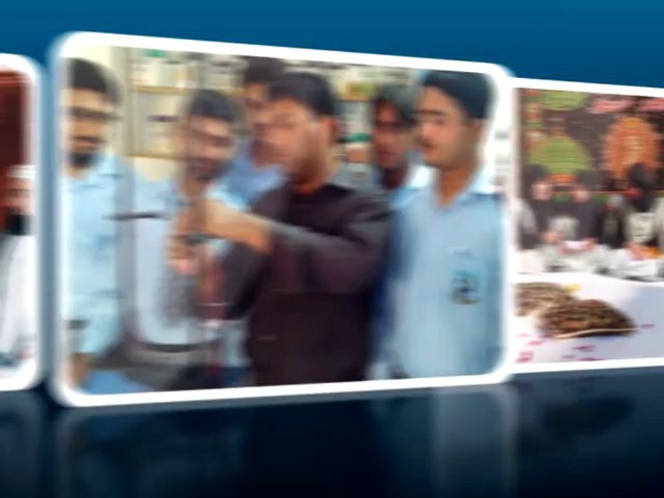 Saint Francis Schools and Colleges Sarai Alamgir