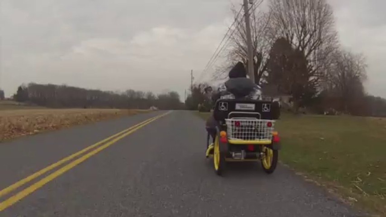 The Killer Bees  swarm bank own highway hells angels motorcycle gangs