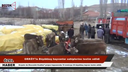 ÇİÇEK DAĞINDA KÖYLÜLERE BÜYÜKBAŞ TESLİMATI YAPILDI