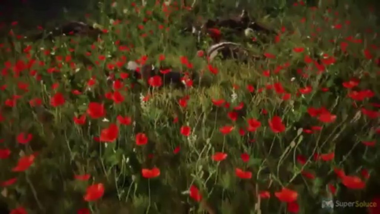 Kingdom Come : Deliverance - Trailer