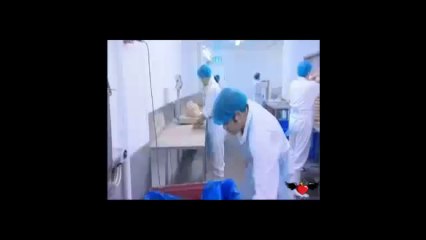 Kebab doner horror,ecco cosa mangiamo