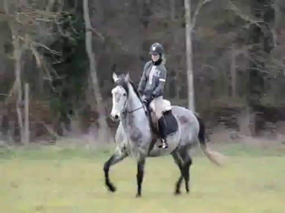 Joc changement de pied galop