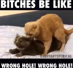 Wrong hole wrong hole