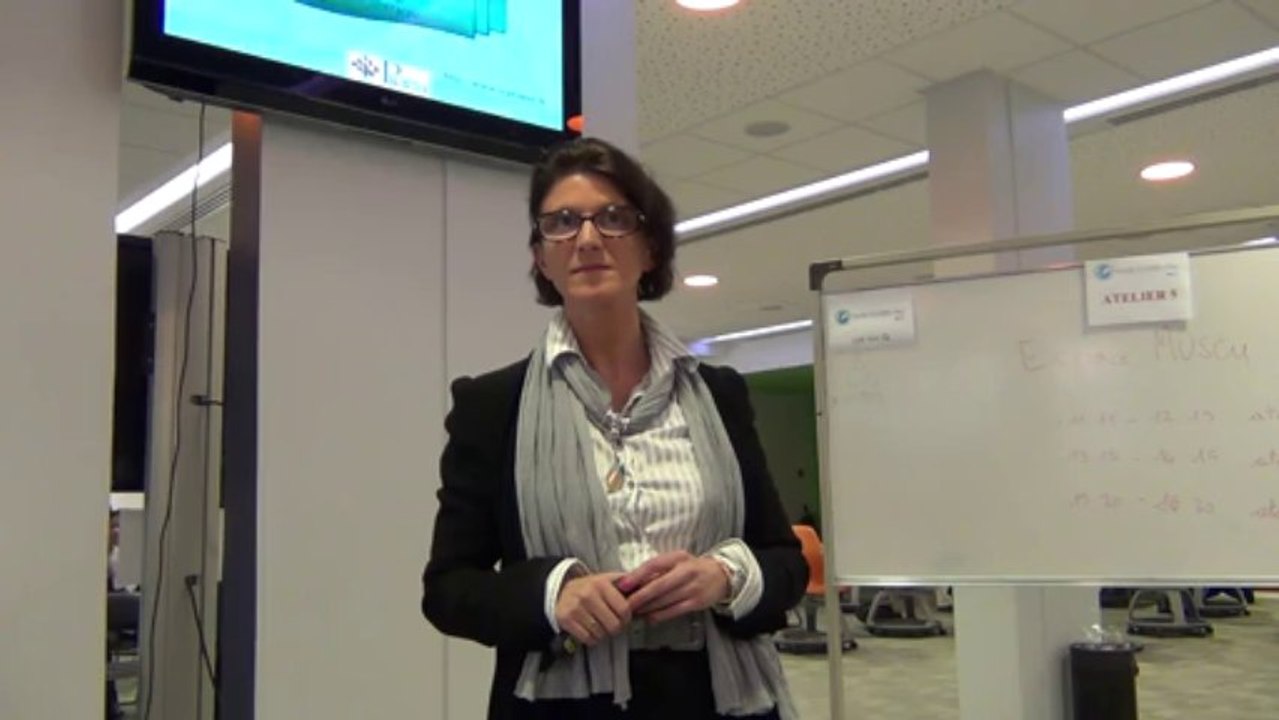 Use-Age WUD2013 - 07 - Quand les NTIC rendent malade, Hélène Lampin (Propsy) [2/2]