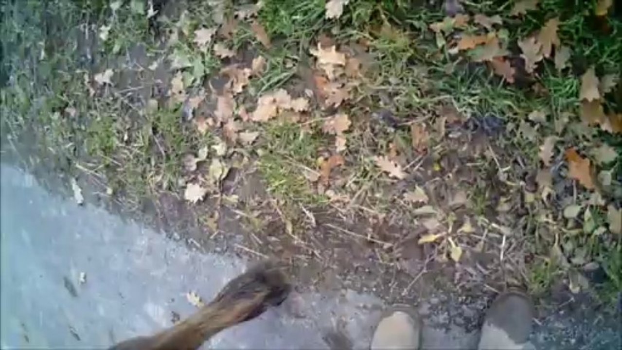 Journée du 21/12/13