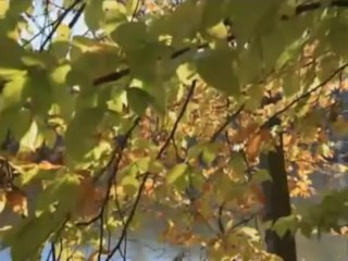 A PALAVRA AMIGA DO BISPO MACEDO   16122013