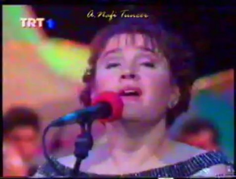 Ayşe TAŞ-Nûr Salkımısın Gül Ki Bahar Bahtına Yansın