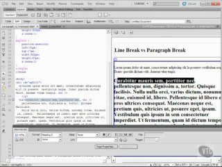 Dreamweaver CS5.Text