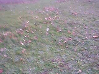 Front Flip En Revo 3.3
