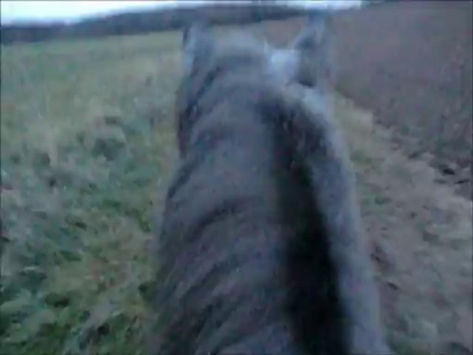 urigo: le cross et l balade à cru