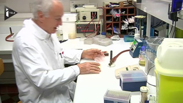 Antibiotiques aux animaux : les dangers sur l'homme