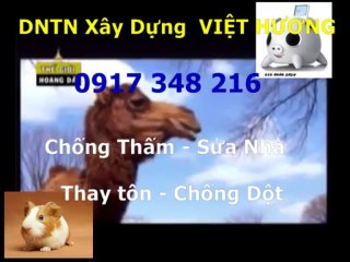 Sơn sửa nhà đón Tết ở quận 1 gọi Thanh 0917 348216