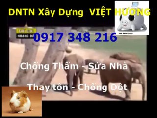 Sơn sửa nhà đón Tết ở quận 2 gọi / Thanh 0917 348216
