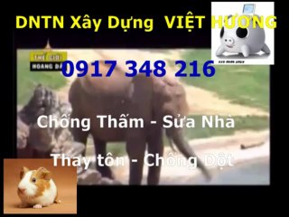 Sơn sửa nhà đón Tết ở quận 2 gọi // Thanh 0917 348216