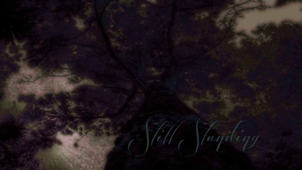 Still Standing