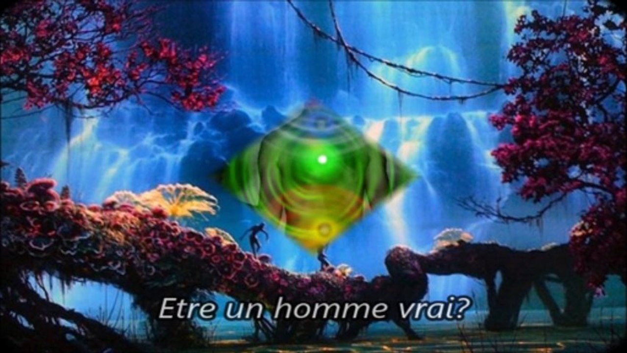 Histoire de l'humanité...