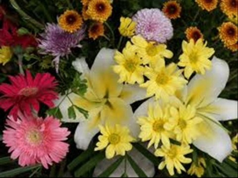 Naat Aey Rasool e Ameen recited by UMMATI written by Syed Nafees ul Hussaini