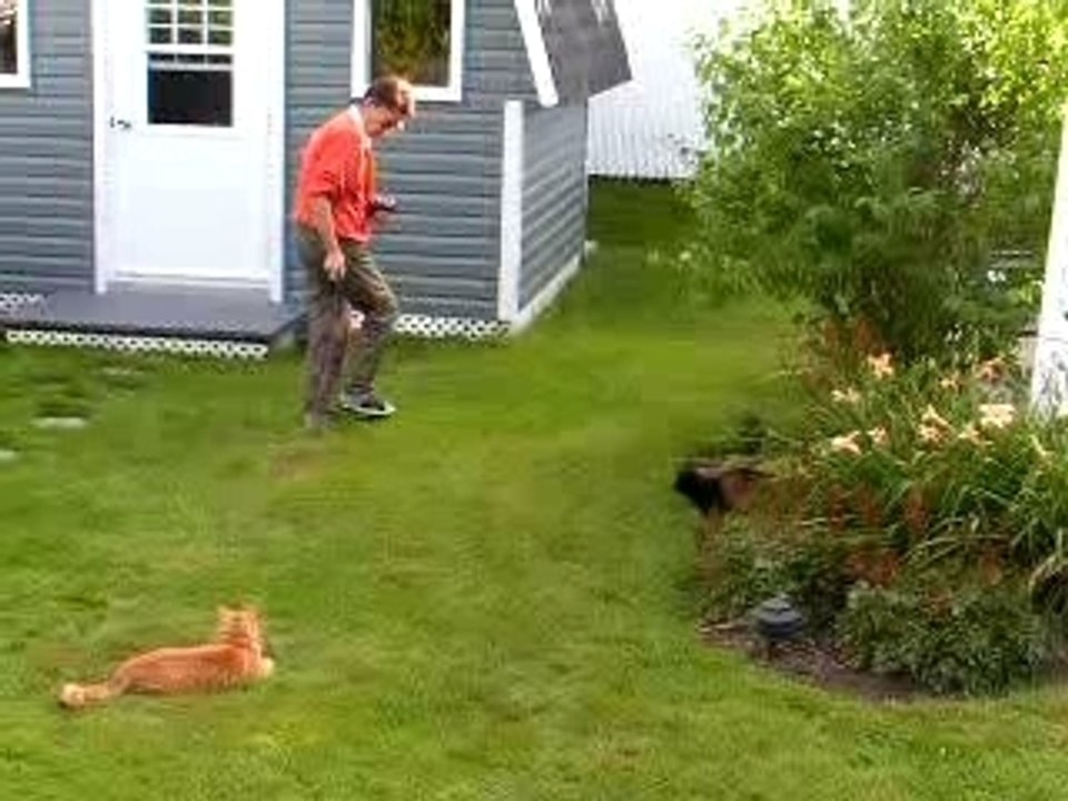 Jeux avec MimiMousse et Moustic