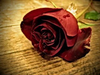 Samime Sanay - Selam Vermeden Gelip Geçersin