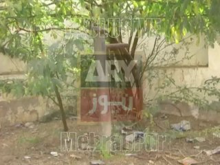 Girls Primary School as a animal planet.