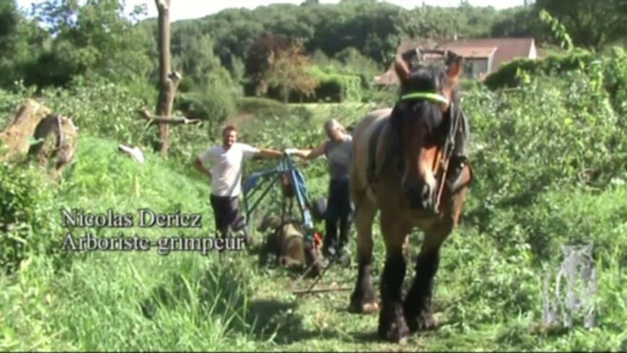 Chantier d'abattage à Couture
