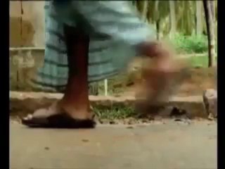 save water (learn from monkey)