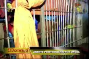 Agente penitenciario por un día: viviendo con el peligro en el penal de Aucallama
