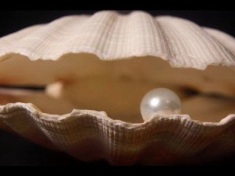 Bir Nefes Bir Düş gibi