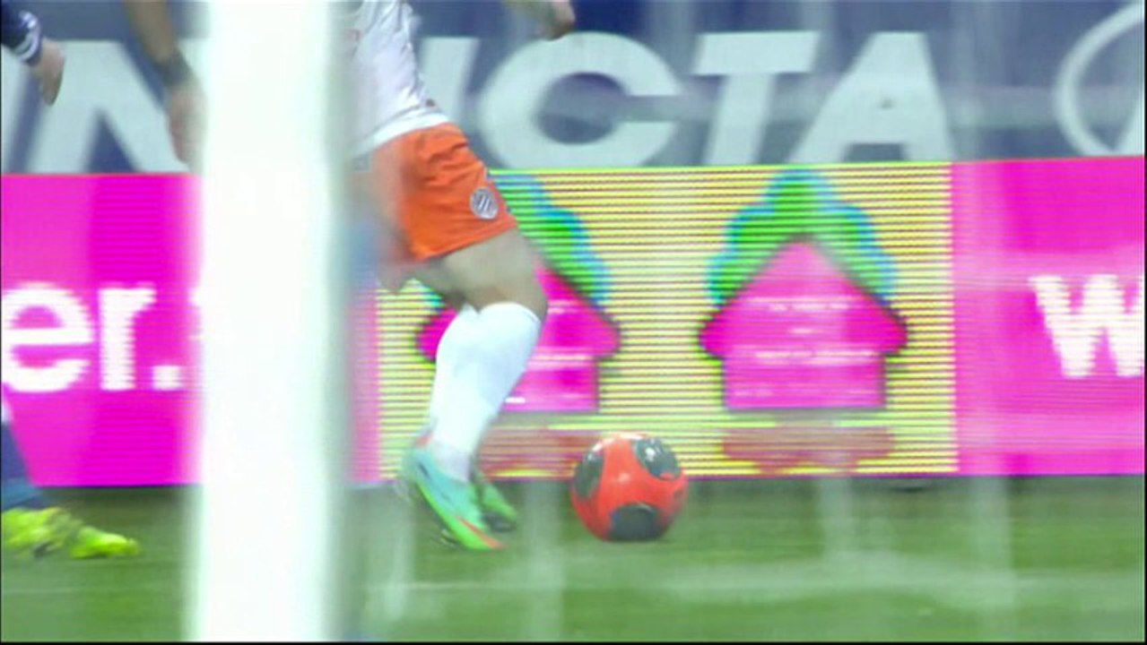20ème journée de Ligue 1 - Présentation de Montpellier Hérault SC - AS Monaco FC - 2013/2014
