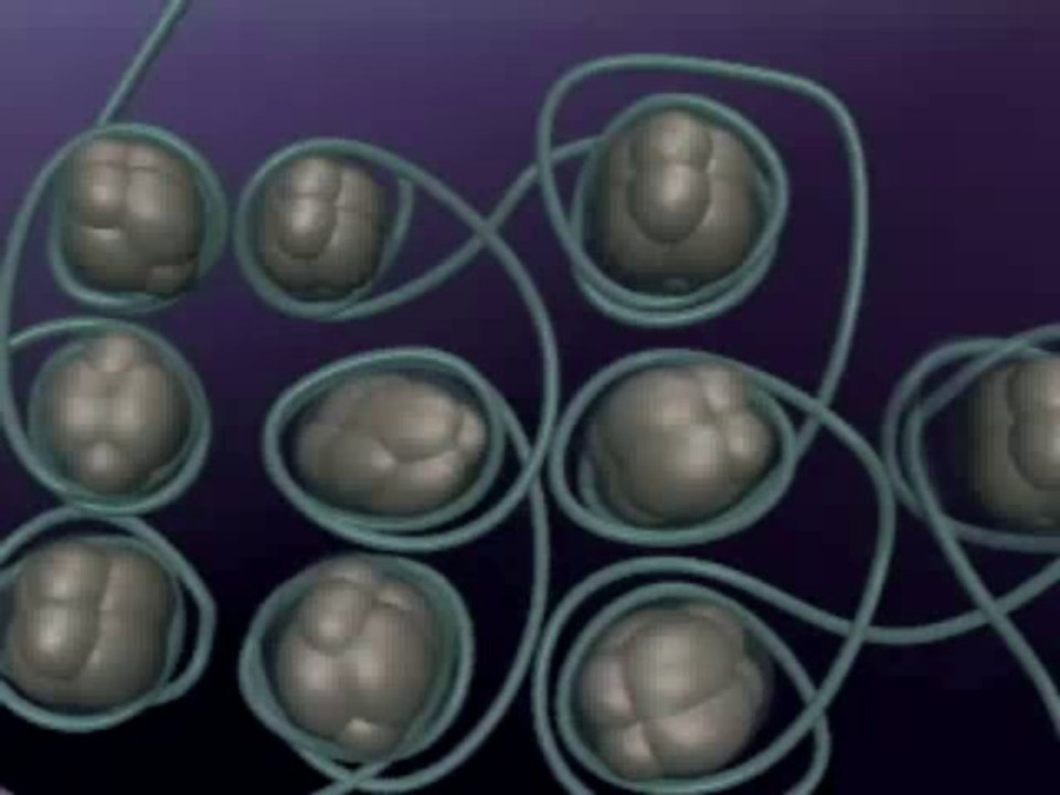 DNA PACKAGE
