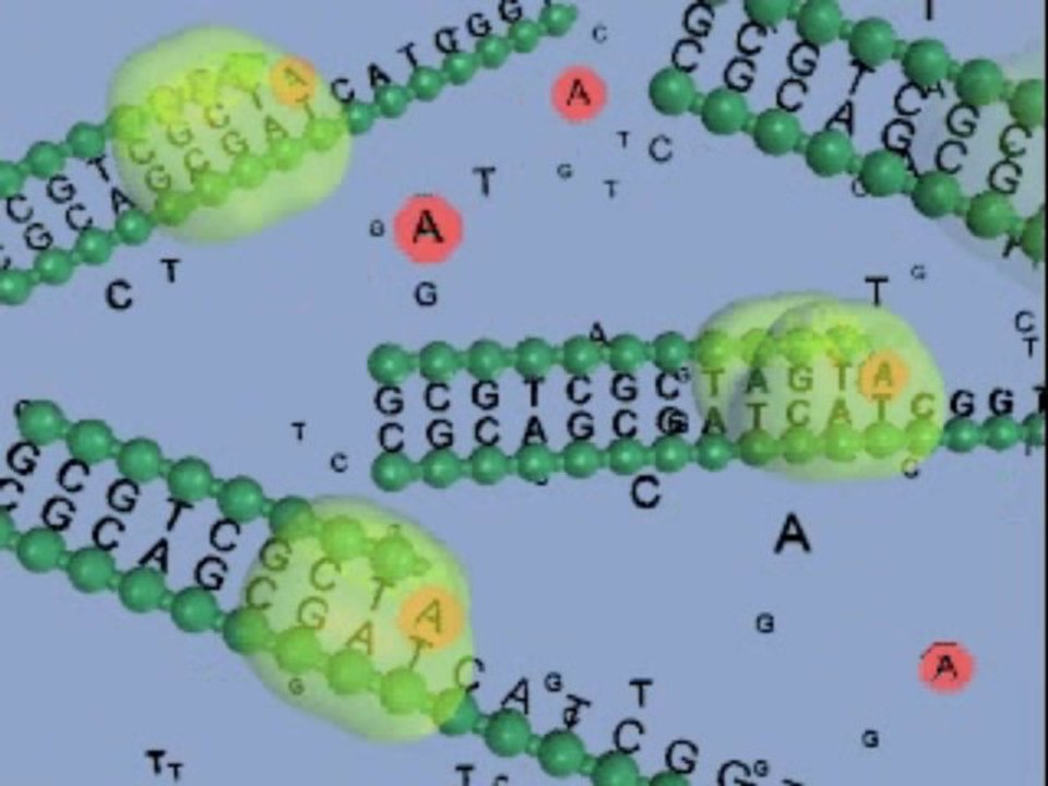 DNA SEQUENSING