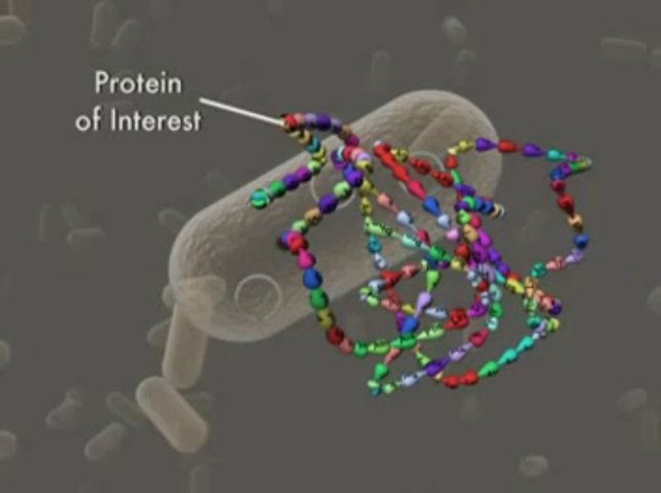 Recombinant DNA
