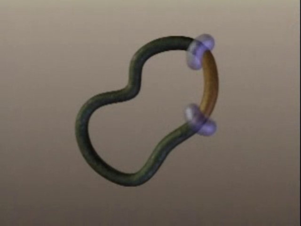 RESTRICTION ENZYMES