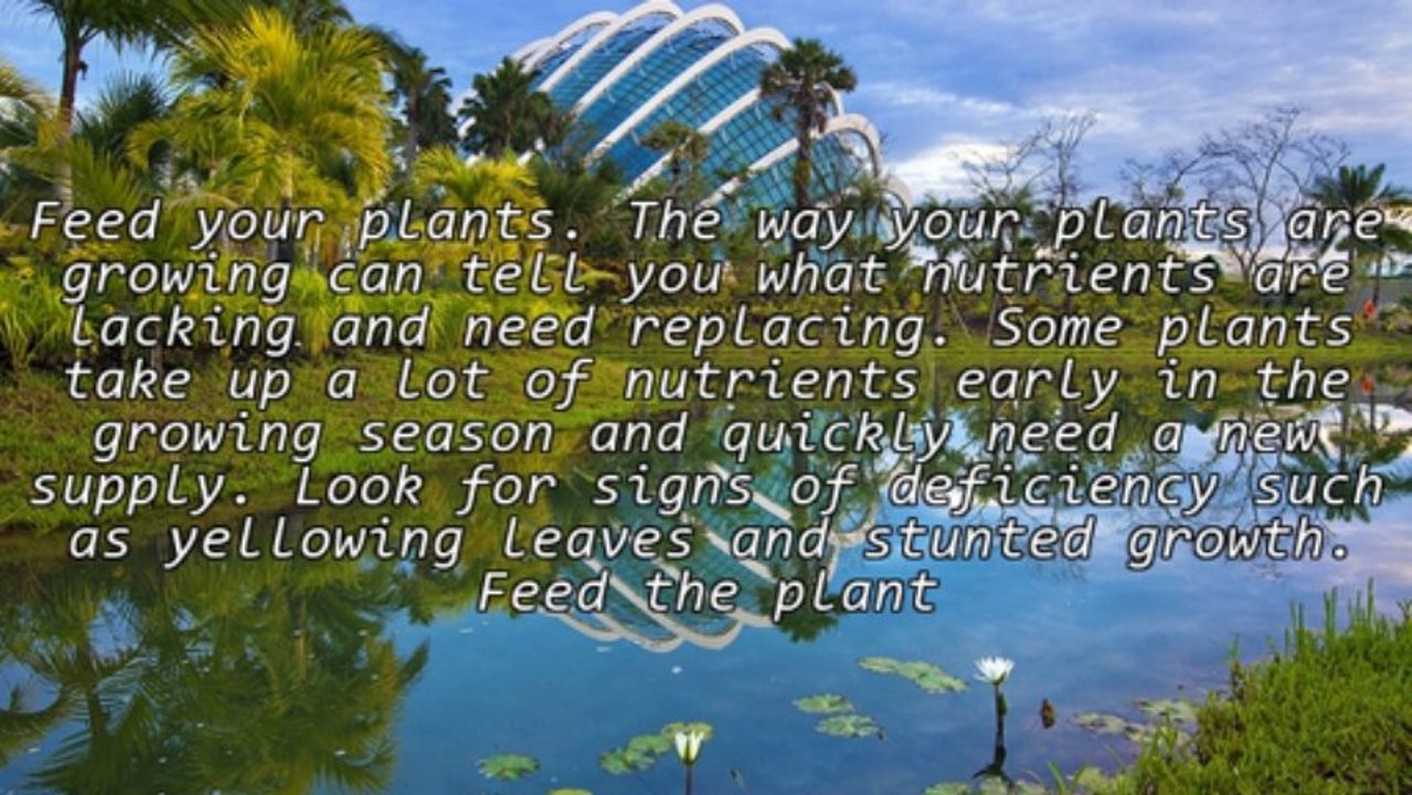 How To Be Successful With Organic Gardening