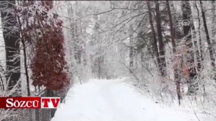 Yüzbinlerce ev elektriksiz kaldı