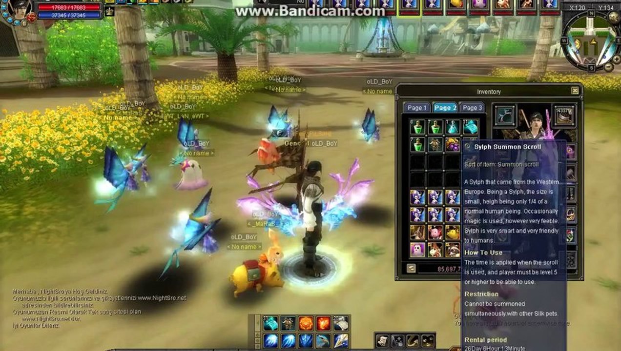 Silkroad Pet Bug