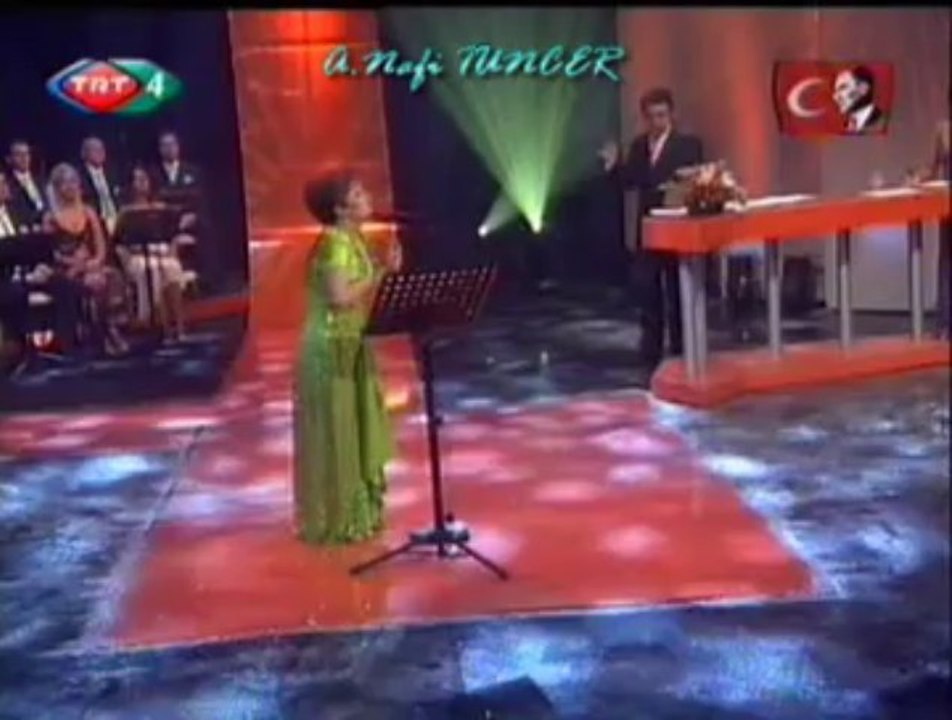 Ayşe TAŞ-Ay Doğarken Gecelerden Hârelenir Garip Garip