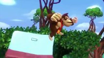 Donkey Kong Country: Tropical Freeze Character