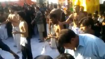 Zanjeer Zani Video On 10 Muharram