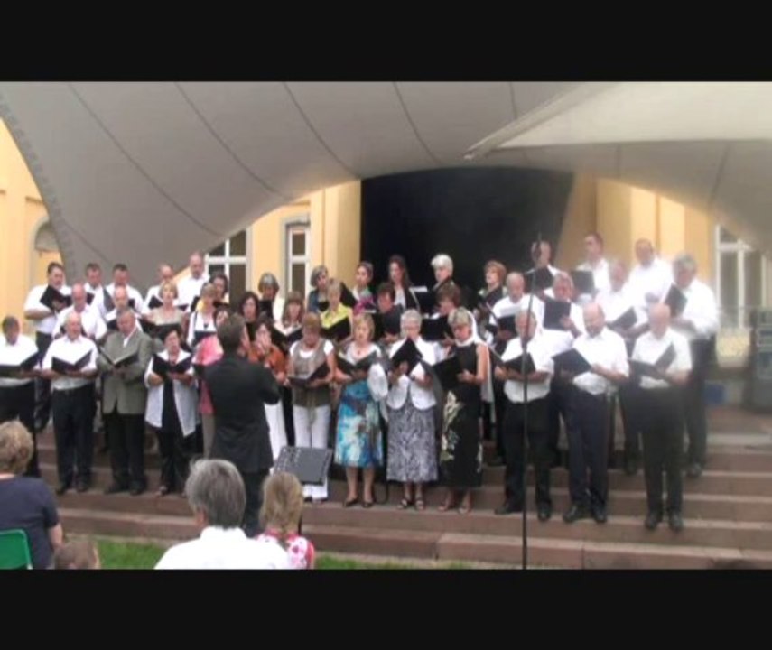 Europafest (10.07.2011) (1/2)