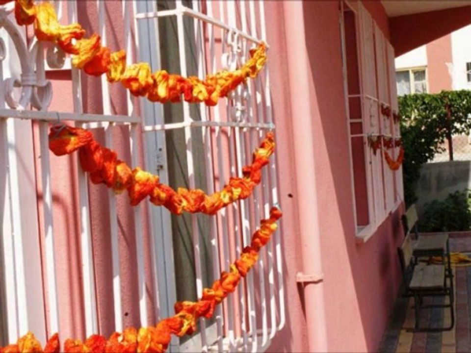 Canan Özacar- Ala Gözlerini Sevdiğim Dilber