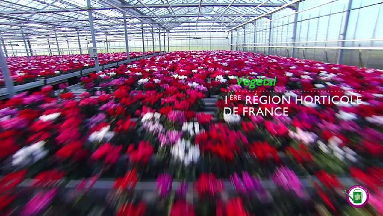 L'AVENIR POUSSE EN ANJOU