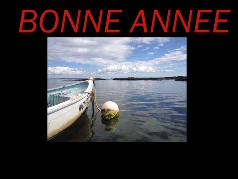 NOUVEL AN 2014