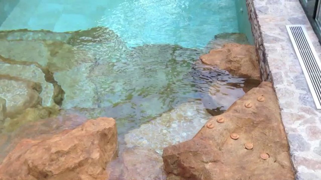 Décors piscine faux rochers