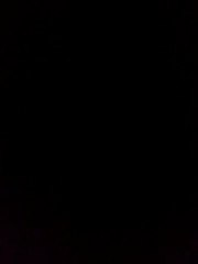 True face James Bowles